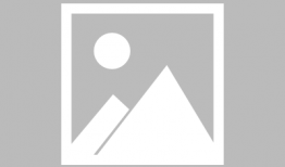 打猫视频,打猫视频引发社会关注与反思